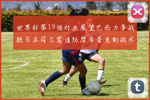 世界杯第19场对决展望巴西力争战胜日本荷兰需谨防摩洛哥克制战术